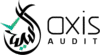 axisaudit.ae